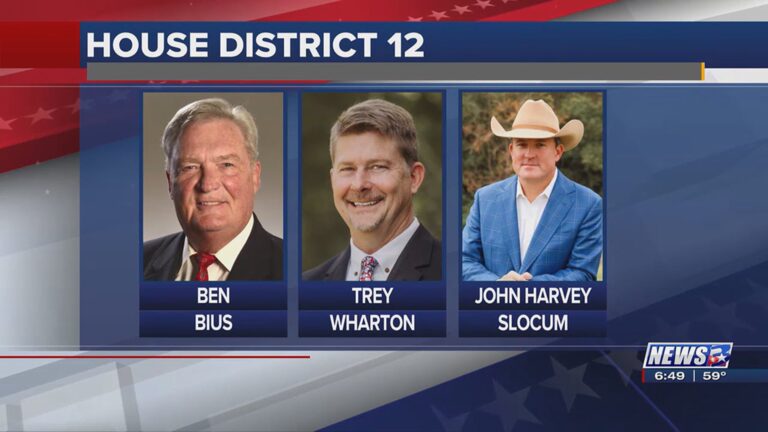 Three candidates for State Rep. District 12 up for vote Tuesday