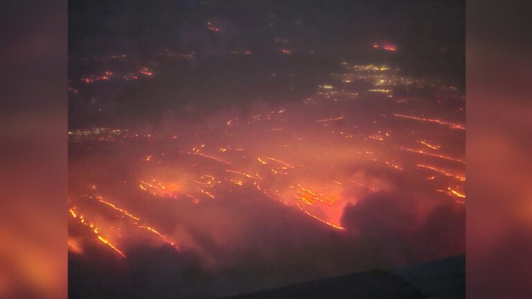 Texas A&M Forest Service talks wildfire management