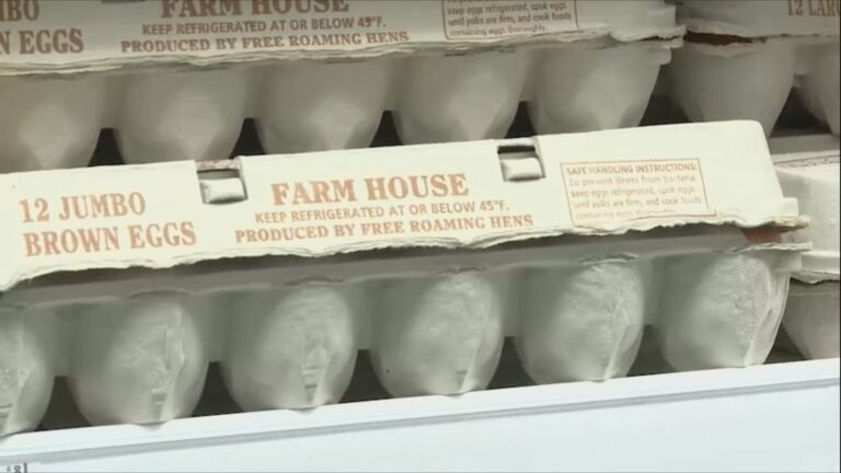 ‘Egg-flation:’ why egg prices are on the rise ahead of the Easter season