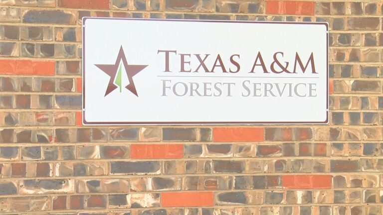 Texas A&M Forest Service awards $1.3 million to rural volunteer fire departments