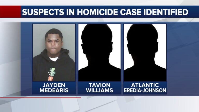 3 suspects identified in Lee County homicide, 2 arrested