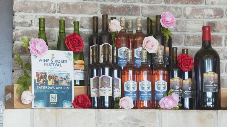 Taste new wines, learn, shop at 40th Annual Wine & Roses Festival