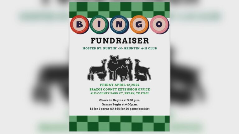 Bingo night to benefit Runtin’ N Gruntin’ 4-H Club