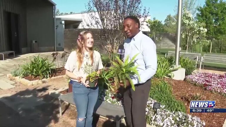 Weekend Gardener: Texas A&M’s Horticulture club hosts spring plant sale