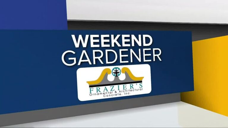 Weekend Gardener: Celebrating national volunteer week