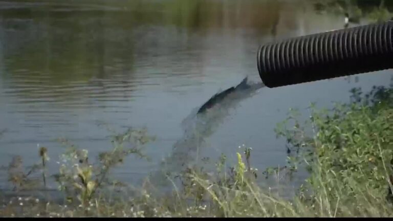 From the Ground Up: Private aquaculture keeps ponds, lakes thriving