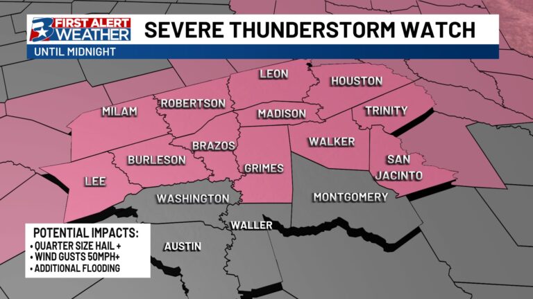 Severe Thunderstorm WATCH for majority of the Brazos Valley until midnight