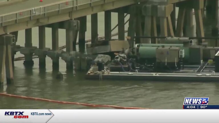 Focus at Four: Expert on the Pelican Island Bridge collision