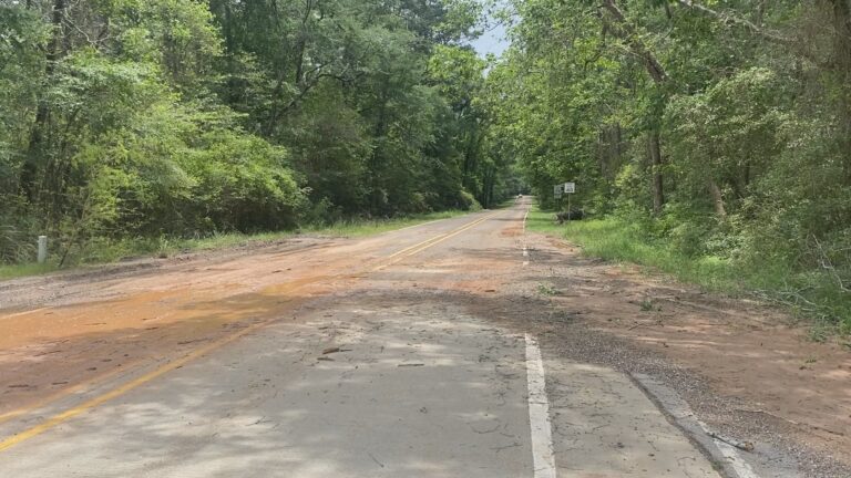 Flash flooding leads to downed trees, experts warns of continued storms