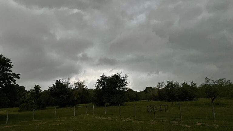 Significant storm damage reported in Robertson, Milam Counties