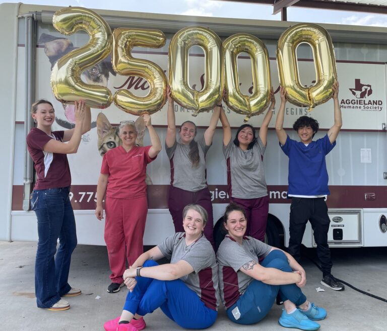 Aggieland Humane Society celebrates milestone of 25,000 spay and neuter surgeries