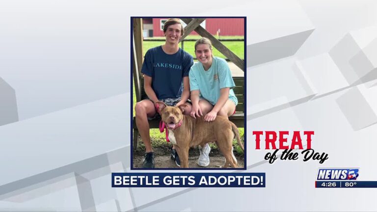 Treat of the Day: Beetle gets adopted!