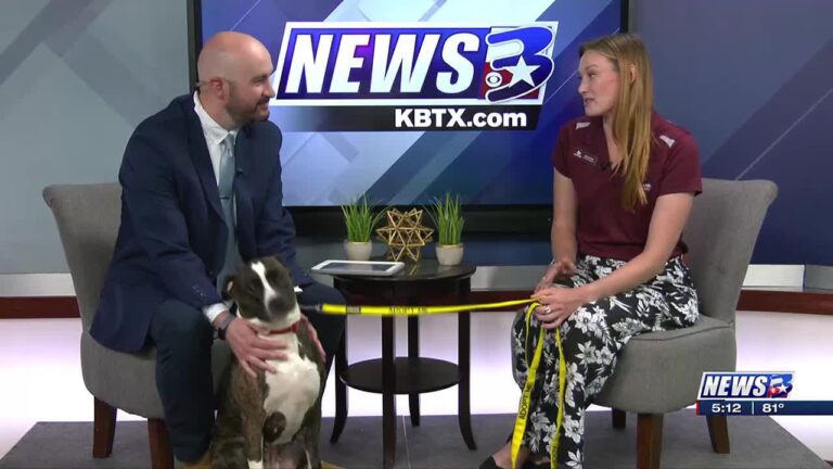 Aggieland Humane Society Pet of the Week: Darla