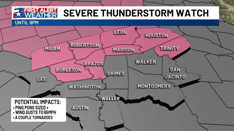 Severe Thunderstorm Watch issued for portions of the area until 9pm