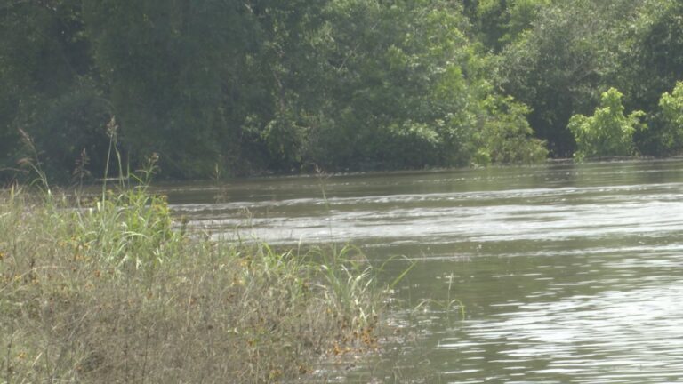 Navasota River flooding caused by rainfall, water release from Lake Limestone