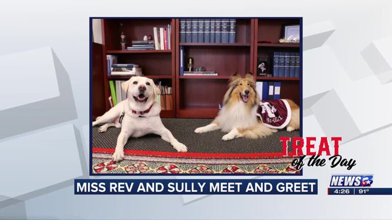 Treat of the Day: Miss Reveille and Sully at 41@100