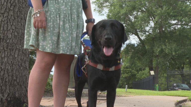 Handler shares concerns, sadness after guide dog denied entry to Brazos County church