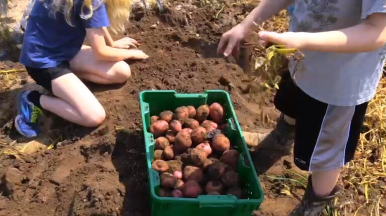 From the Ground Up: The importance of knowing where your food comes from