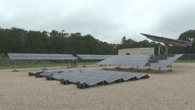 ‘Our goal is to keep people functioning after disasters’: Students learn about renewable power at Prairie View A&M University solar farm