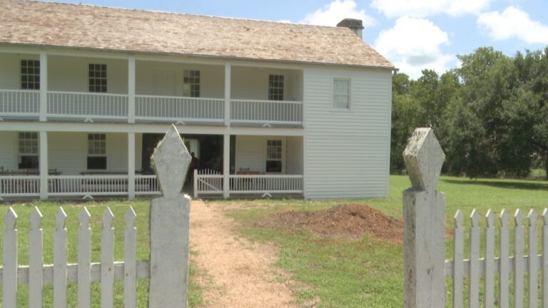 Fanthorp Inn State Historic Site’s cedar elm tree cut down following damage from Beryl