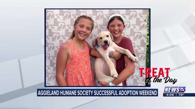 Treat of the Day: Aggieland Humane Society has a successful adoption weekend