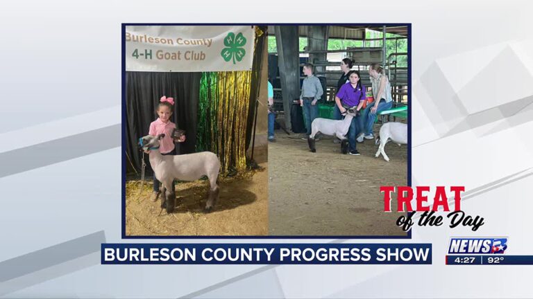 Treat of the Day: Burleson County Progress Show