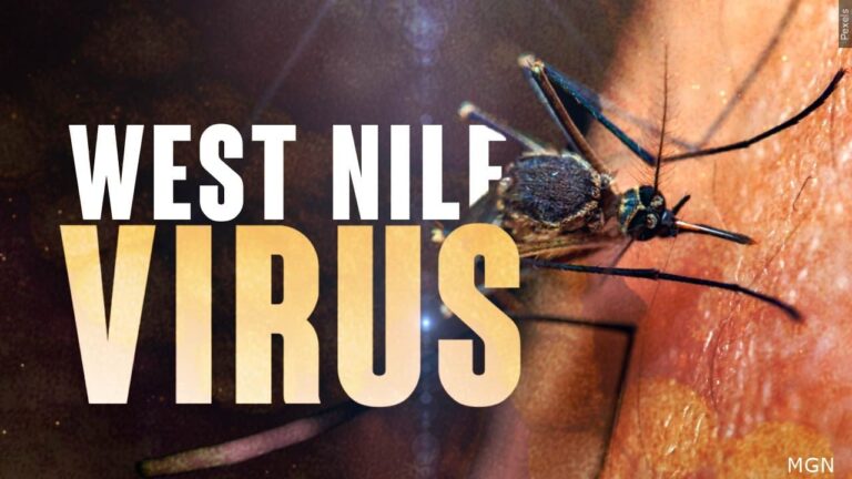 Brazos County confirms West Nile Virus detected in the area