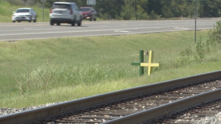 Brazos Valley resident requests change after fatal HWY 6 crash: ‘Too many people are losing their lives’