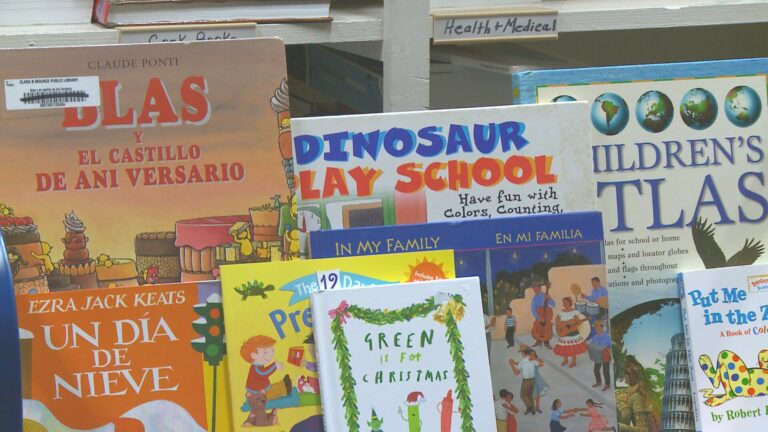 Young Bryan-College Station readers can get books for 50¢ at book sale