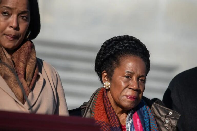 Democrats running for Sheila Jackson Lee’s congressional seat debate who is best suited to replace her