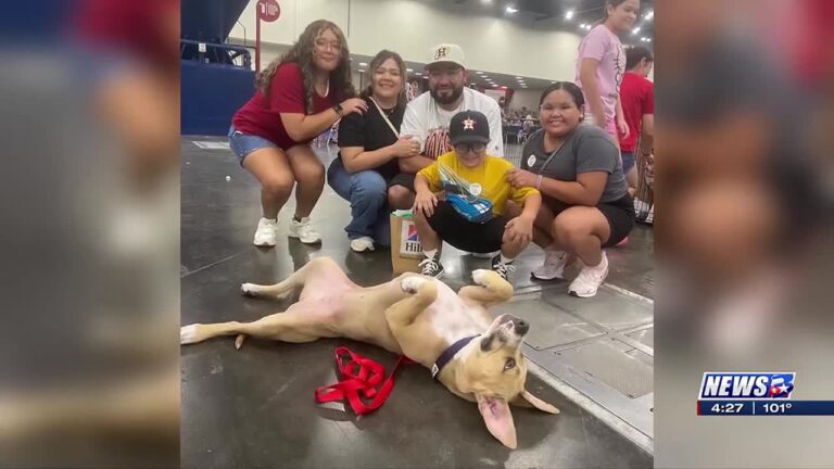 Treat of the Day: Aggieland Humane Society helps 15 furry friends find homes