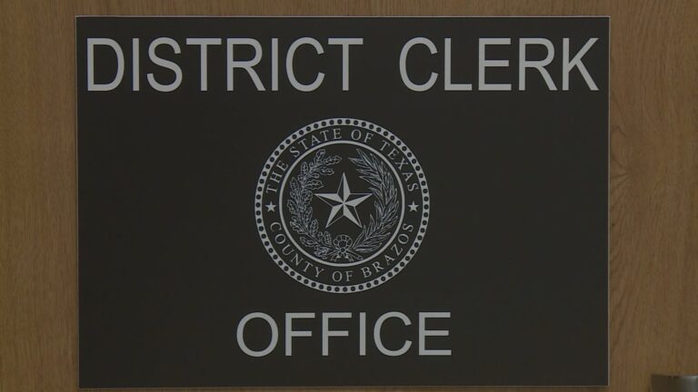 Brazos County District Clerk and 20+ others named in lawsuit over access to online court records