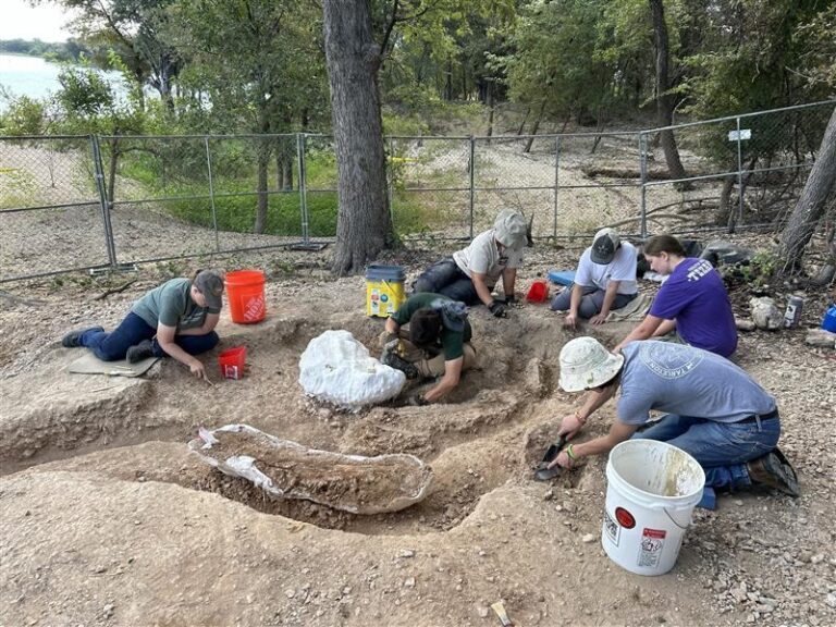 ‘Everything’s bigger in Texas. Our mammoths are bigger, too’:  20,000- year-old mammoth remains discovered in Central Texas